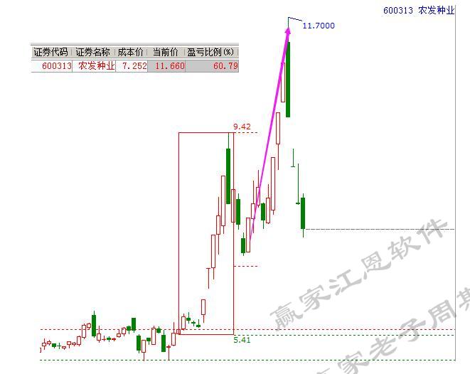 贏家老子十二宮